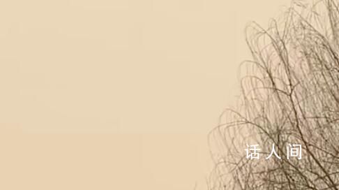 開工第1天西安人均野生兵馬俑 空氣中都是土味