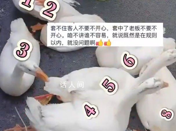 男子套大鵝精準打擊 收獲滿滿