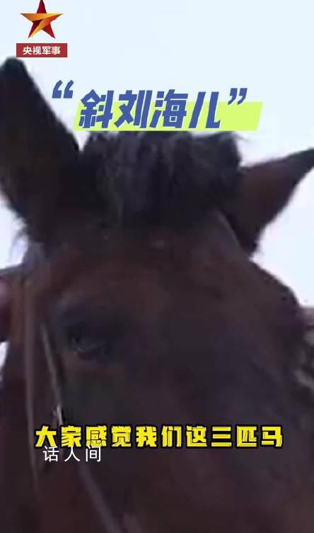 “托尼老師”上線給軍馬設計發型 你最喜歡哪個發型?