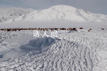 蒙古國近66.8萬頭牲畜死亡 在嚴寒與暴風雪天氣中死亡