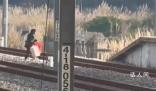 女子走錯站臺手提行李箱翻越鐵軌 鐵路公安正在調查處理此事