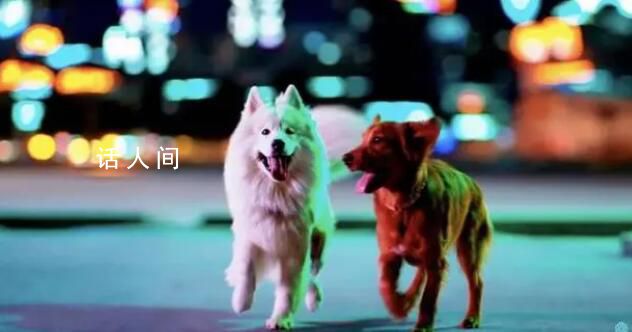 Sora的潘多拉魔盒里有什么 世界模型提前實現了嗎