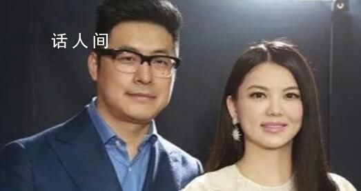 李湘王岳倫成立新公司 王岳倫持股1%并擔(dān)任監(jiān)事