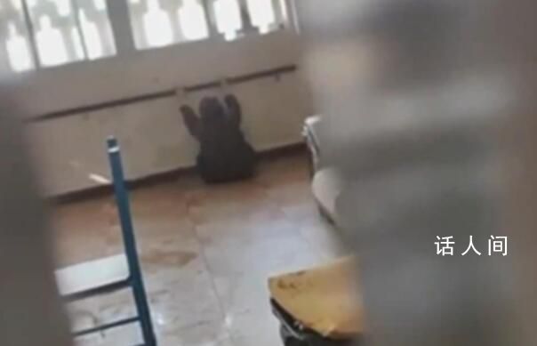 官方辟謠“托管中心虐待老人” 不存在虐待行為會發布相關情況通報