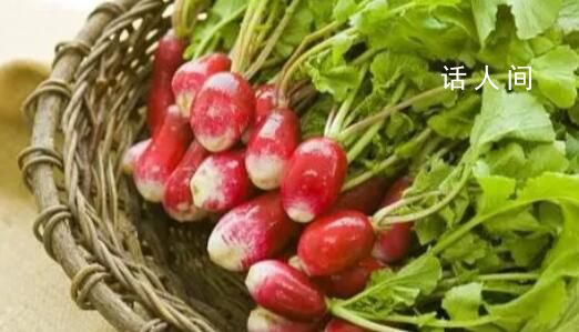 “迷你蔬菜”更有營養(yǎng)?蔬菜的營養(yǎng)價值高低要根據具體類別而定