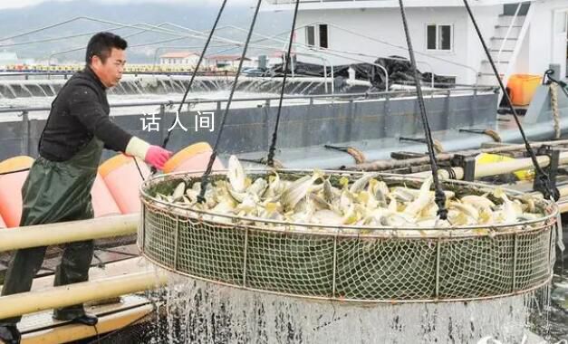 耕海而作,向海而興