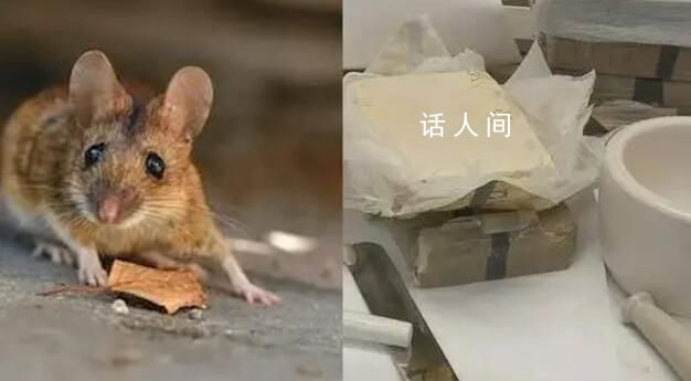 女子毒死丈夫 賣老鼠藥老板被判3年