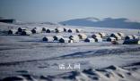 蒙古國大雪覆蓋全國八成土地 牲畜死亡數(shù)近日顯著攀升