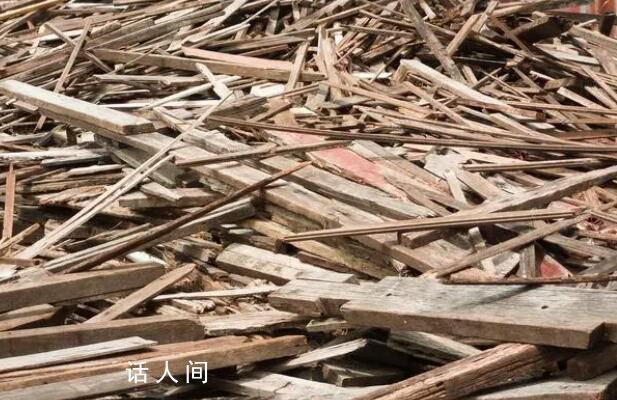 日本計劃利用廢木材生產乙醇 計劃自2027年開始量產