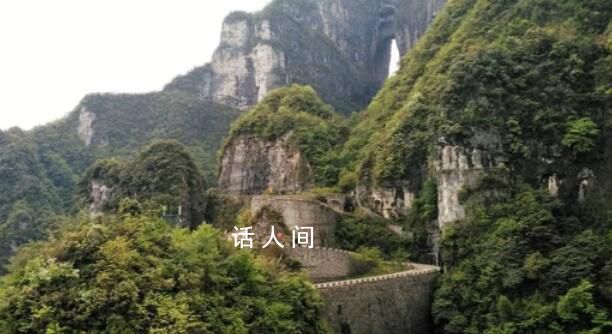 湖南天門山景區有人跳崖?當地回應