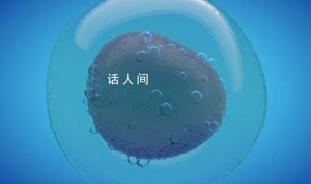 艾滋病已是可防可控可治的慢性病 擁抱握手共同進(jìn)餐等不會(huì)傳播艾滋病