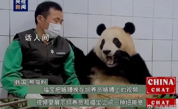 福寶在韓國最后一天上班 最后一次與韓國公眾見面的時間定在3月3日