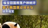 福寶回國將落戶神樹坪 有人排隊近7小時送別