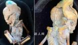 “形似外星人”的木乃伊曝光 具有哺乳動(dòng)物的特征