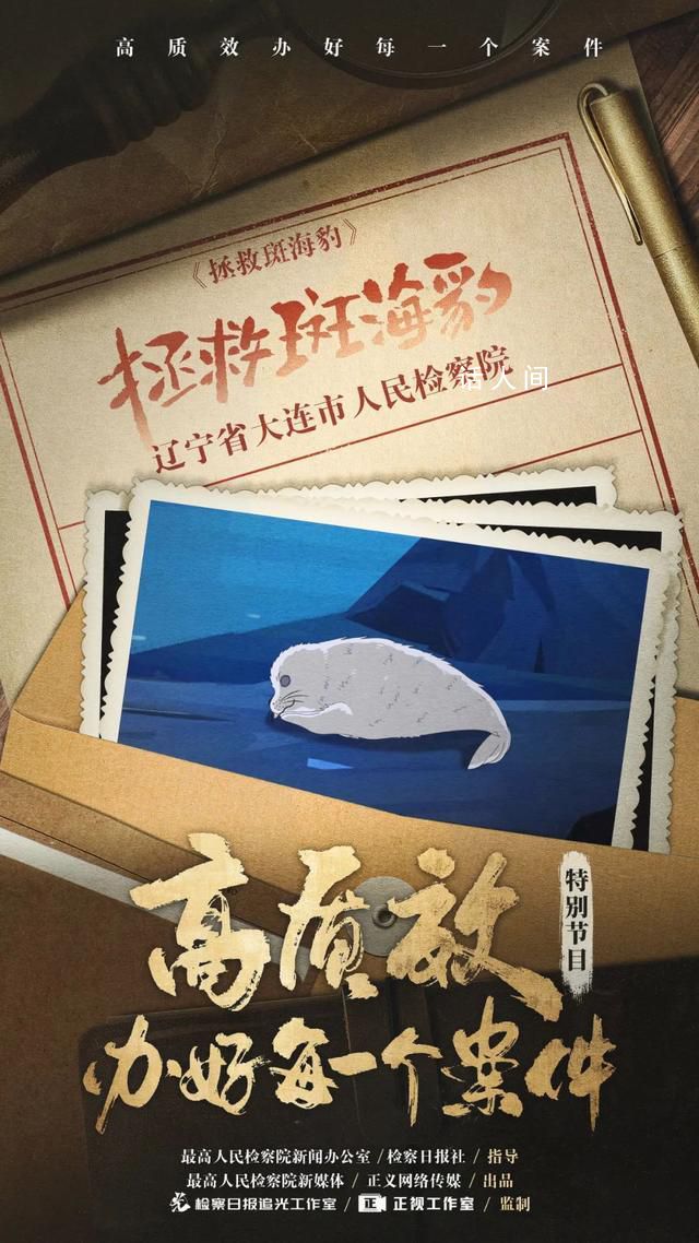 那些被黑市明碼標價的斑海豹 賣往全國10省14市