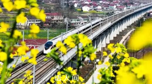 坐著高鐵“慢”賞花 成為今年春游賞花的新時尚