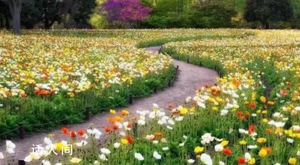 “春日經濟”熱力足 全國多地迎來文旅熱