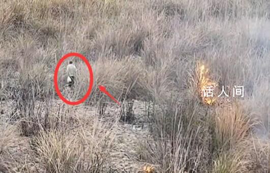 網友用無人機發現老人點燃茅草叢 人已經抓了