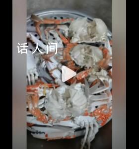 男子服務區被套路買30箱空殼螃蟹 妻子：只能煮熟曬干喂雞