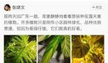 澤連斯基被問到俄恐襲露出詭異微笑 令人不禁悚然