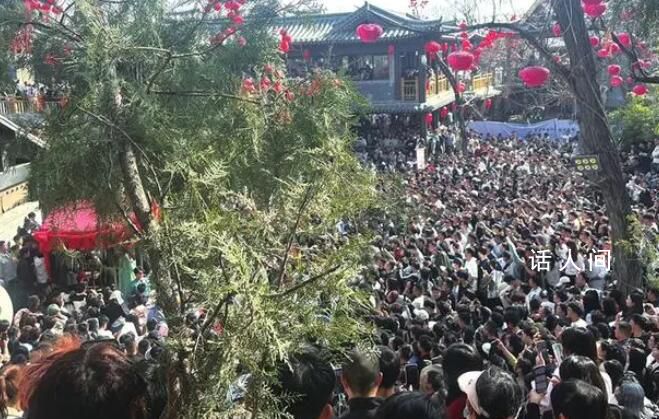 王婆個(gè)人簡歷 開封趙梅個(gè)人簡介