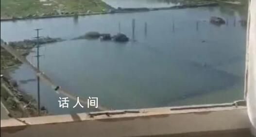 11歲女孩遇害 家屬:不認識嫌疑人