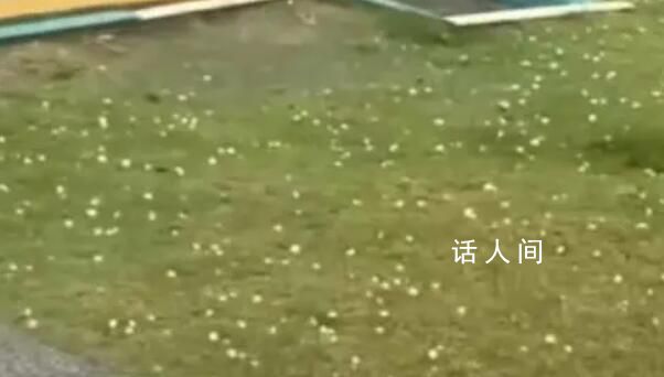 江西風雹災害致7人死亡 9.3萬人受災