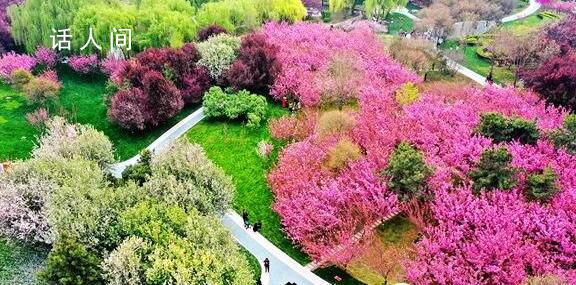 全國(guó)清明假期賞花地圖出爐 快來(lái)看看哪里賞花正當(dāng)時(shí)