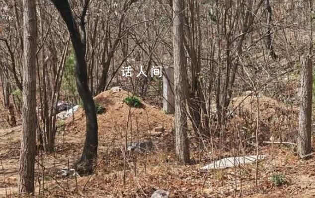 小區旁新修4座墳 數百業主心慌慌