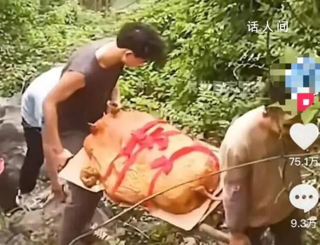 華南F3又開始拜山祭祖了 網友們紛紛發布翻山越嶺拜山祭祖的視頻