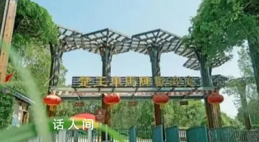 湖北一景區“楚國王族免費” 回應稱：弘揚楚文化