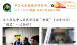 熊貓福寶疑被戳引網友不滿 官方回應福寶被人不戴手套戳