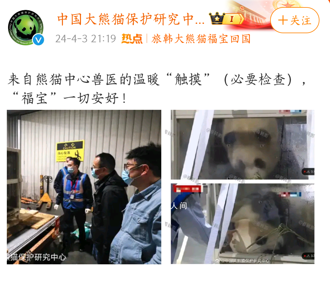 官方回應(yīng)福寶被人不戴手套戳頭 必要檢查一切安好