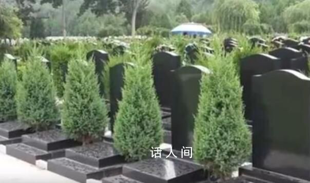 6平米墓地24萬元快趕上房價 墓地價格再次成為公眾熱議的話題
